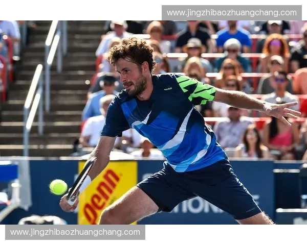 2025年海牙网球赛程全览及赛事精彩预告